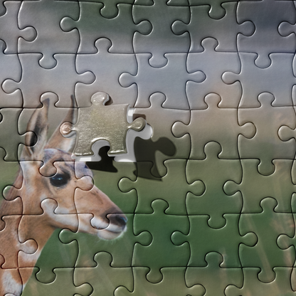 Pronghorn Jigsaw puzzle
