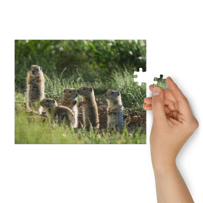 Baby Ground Squirrel Puzzle — Discover Tiny Wonders, Piece by Piece