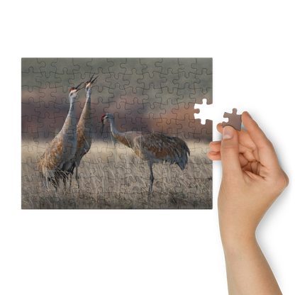 Sandhill Cranes Experience the Wild, Piece by Piece