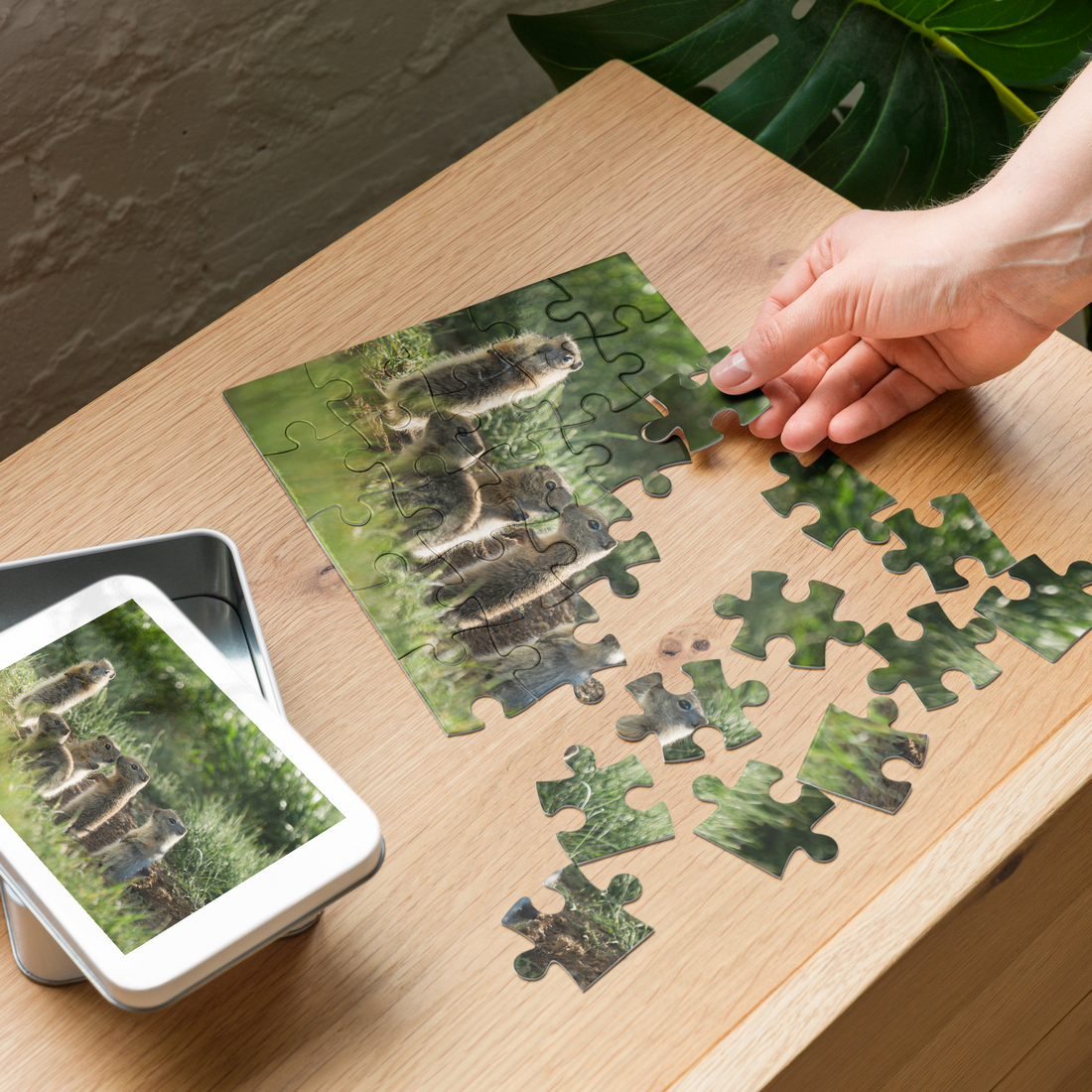 Baby Ground Squirrel Puzzle — Discover Tiny Wonders, Piece by Piece