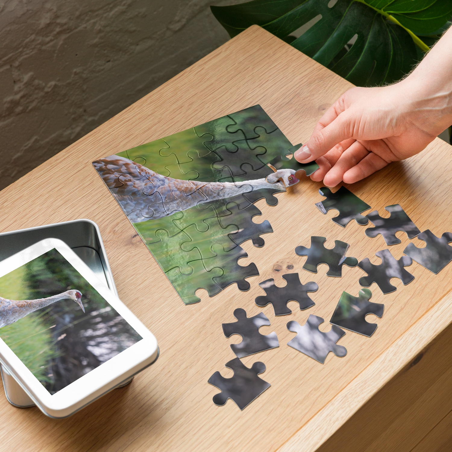 Sandhill Crane Jigsaw puzzle with tin