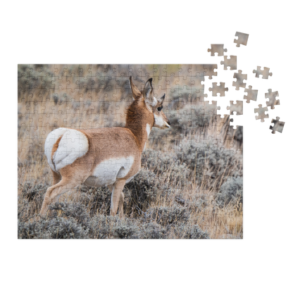 Pronghorn Jigsaw puzzle with tin