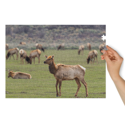 Elk Puzzle — A Golden Dawn, Piece by Piece
