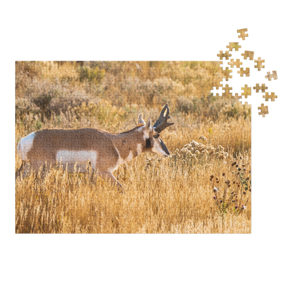Pronghorn Puzzle | Bring Wyoming&