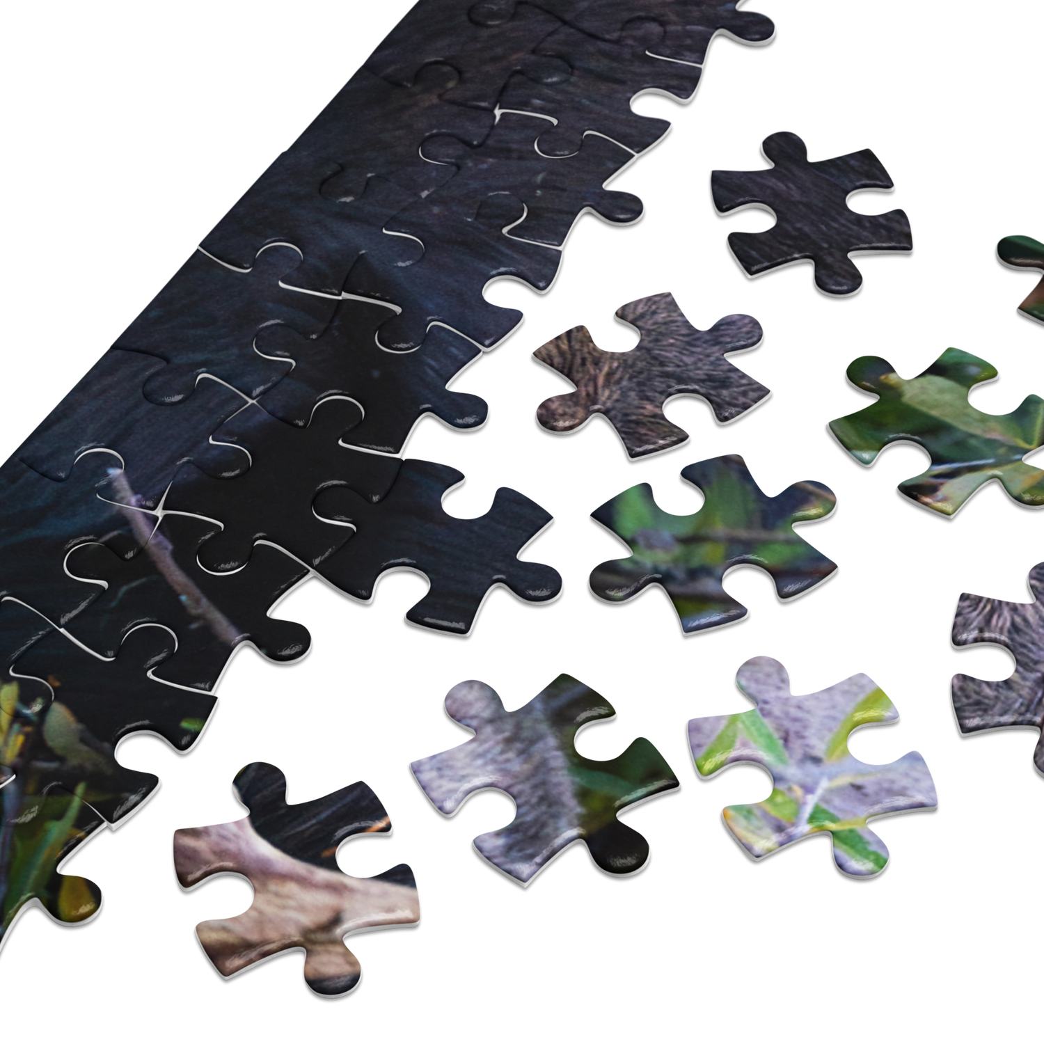Moose Jigsaw puzzle with tin
