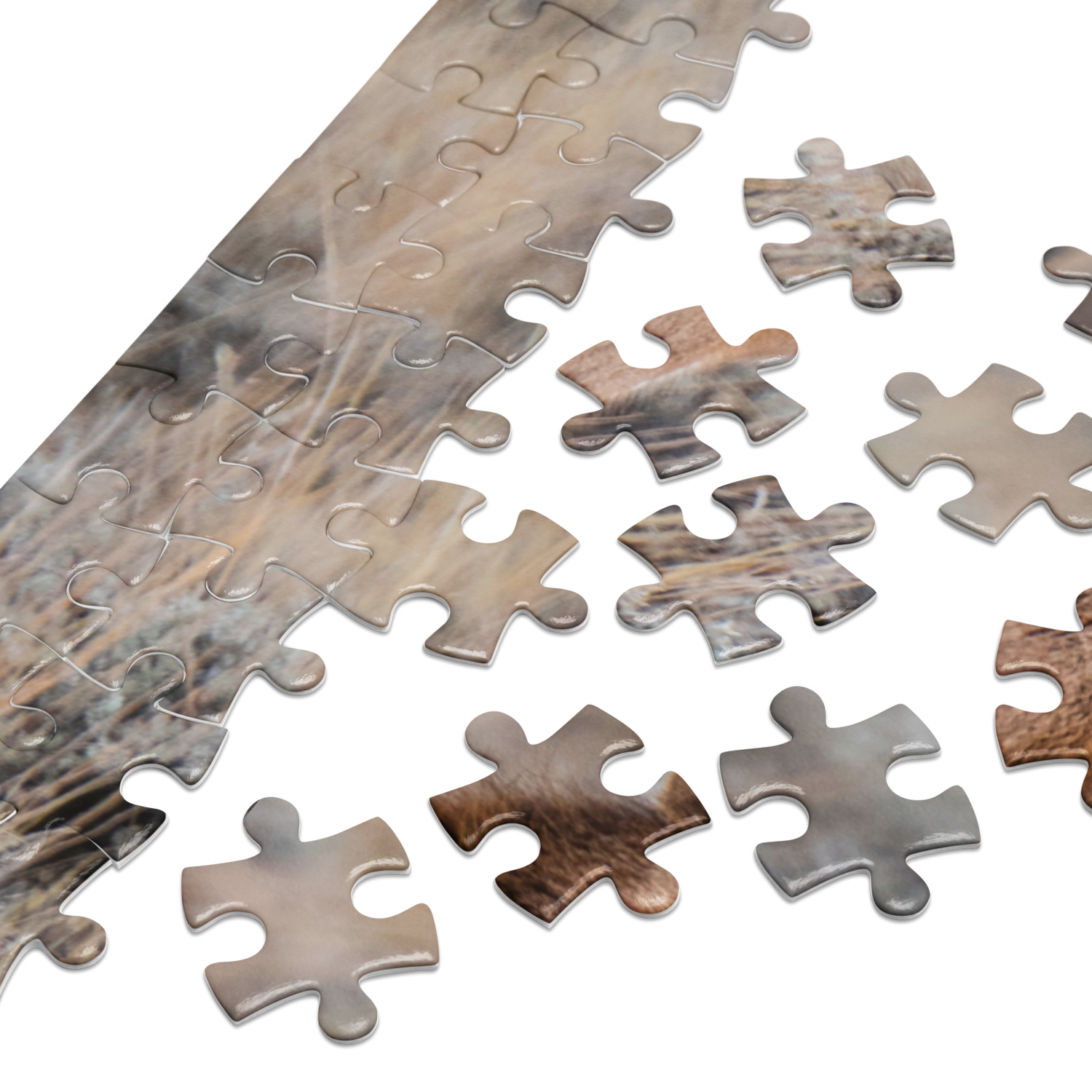 Pronghorn Jigsaw puzzle with tin