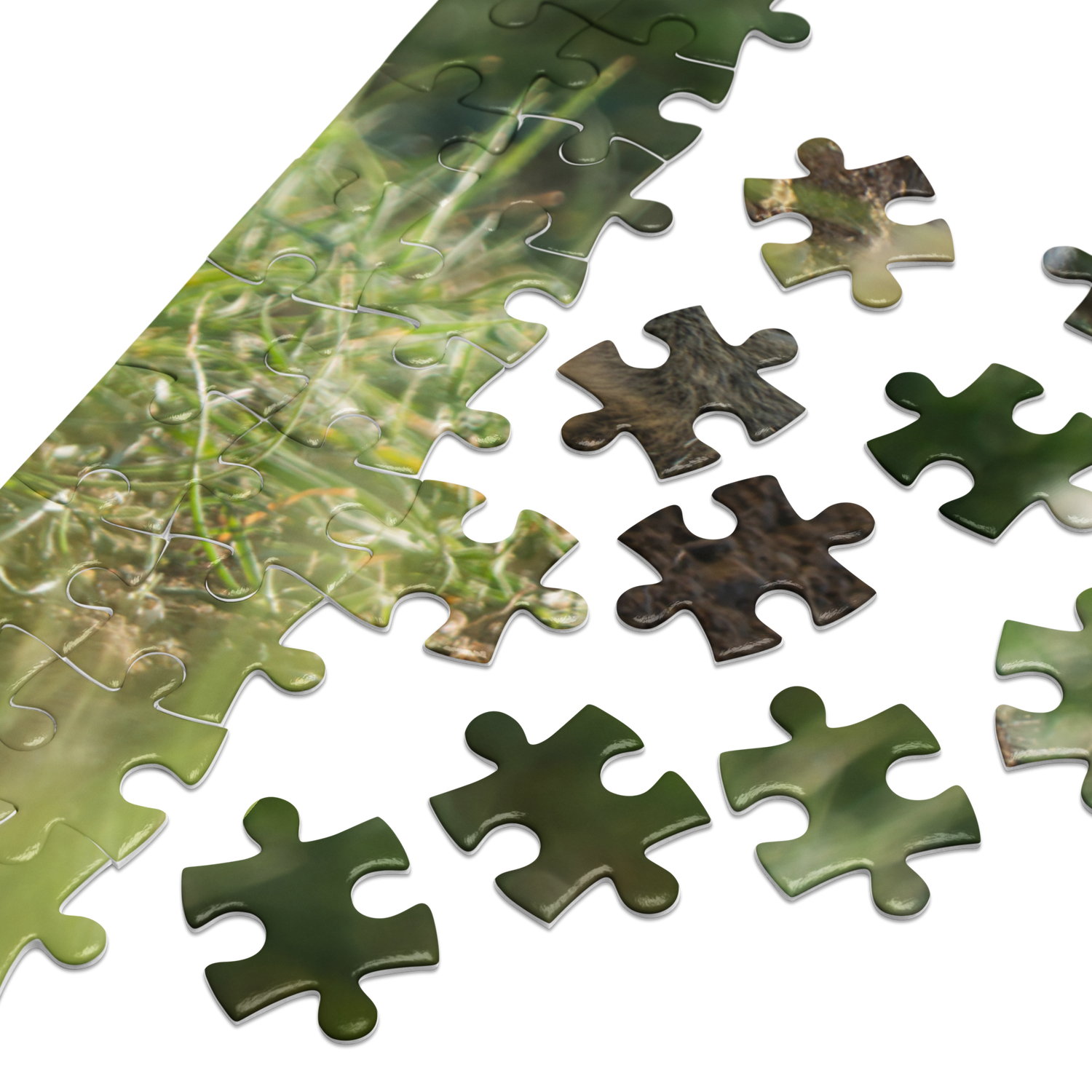 Baby Ground Squirrel Puzzle — Discover Tiny Wonders, Piece by Piece
