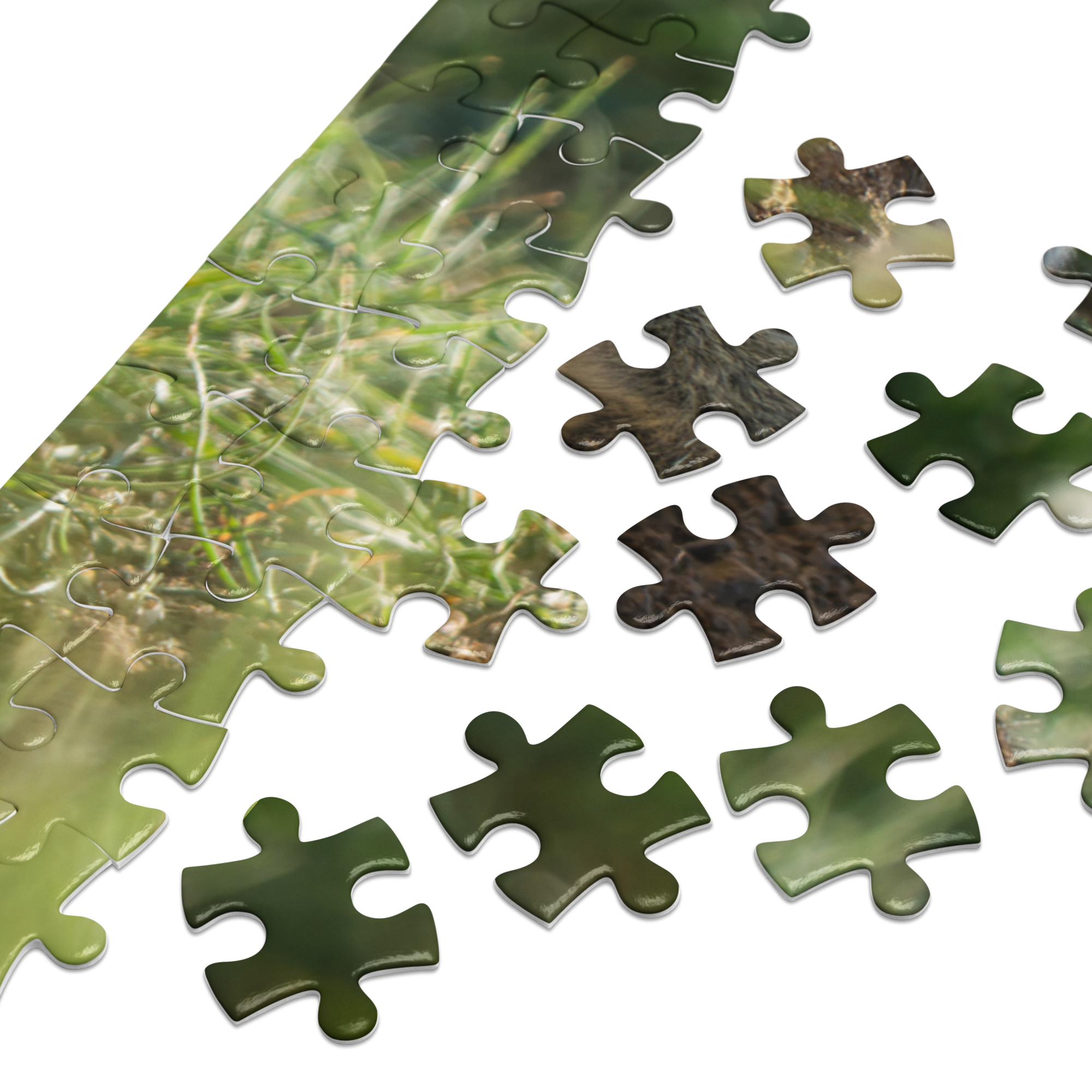 Baby Ground Squirrel Puzzle — Discover Tiny Wonders, Piece by Piece