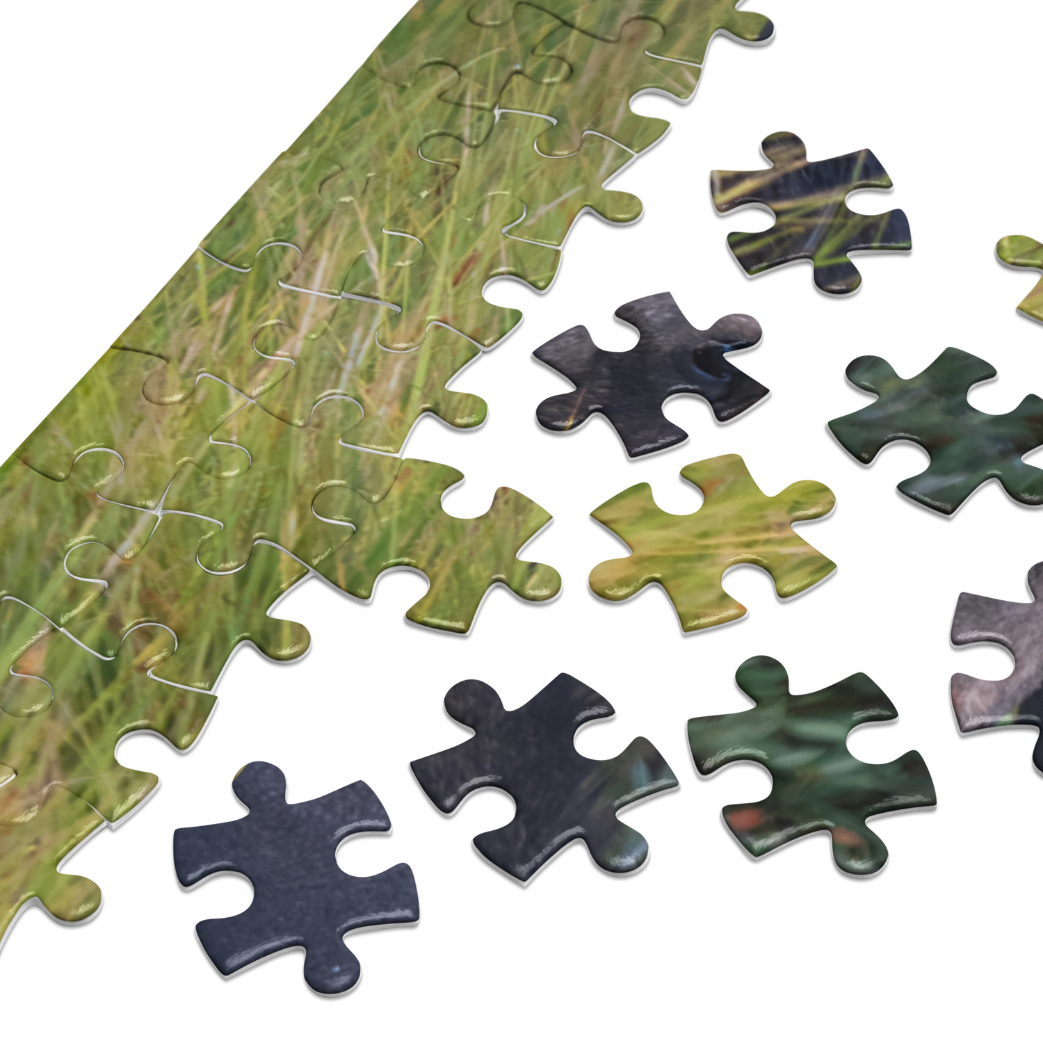 Moose Jigsaw puzzle with tin