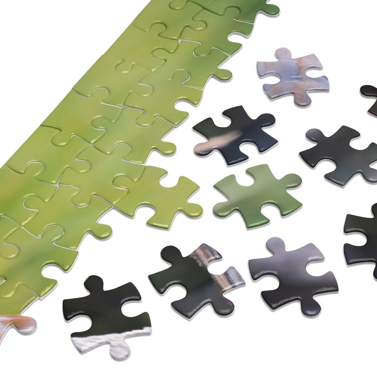 Sandhill Crane Jigsaw puzzle with tin