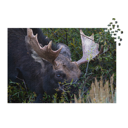 Moose Jigsaw puzzle with tin