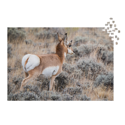 Pronghorn Jigsaw puzzle with tin
