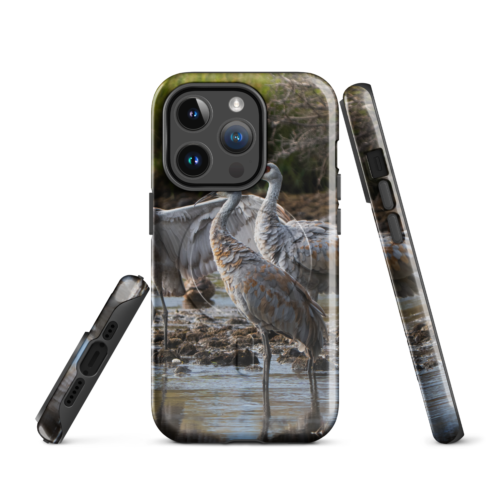 MagSafe iPhone® &amp; Sandhill Cranes Carry the Wild With You