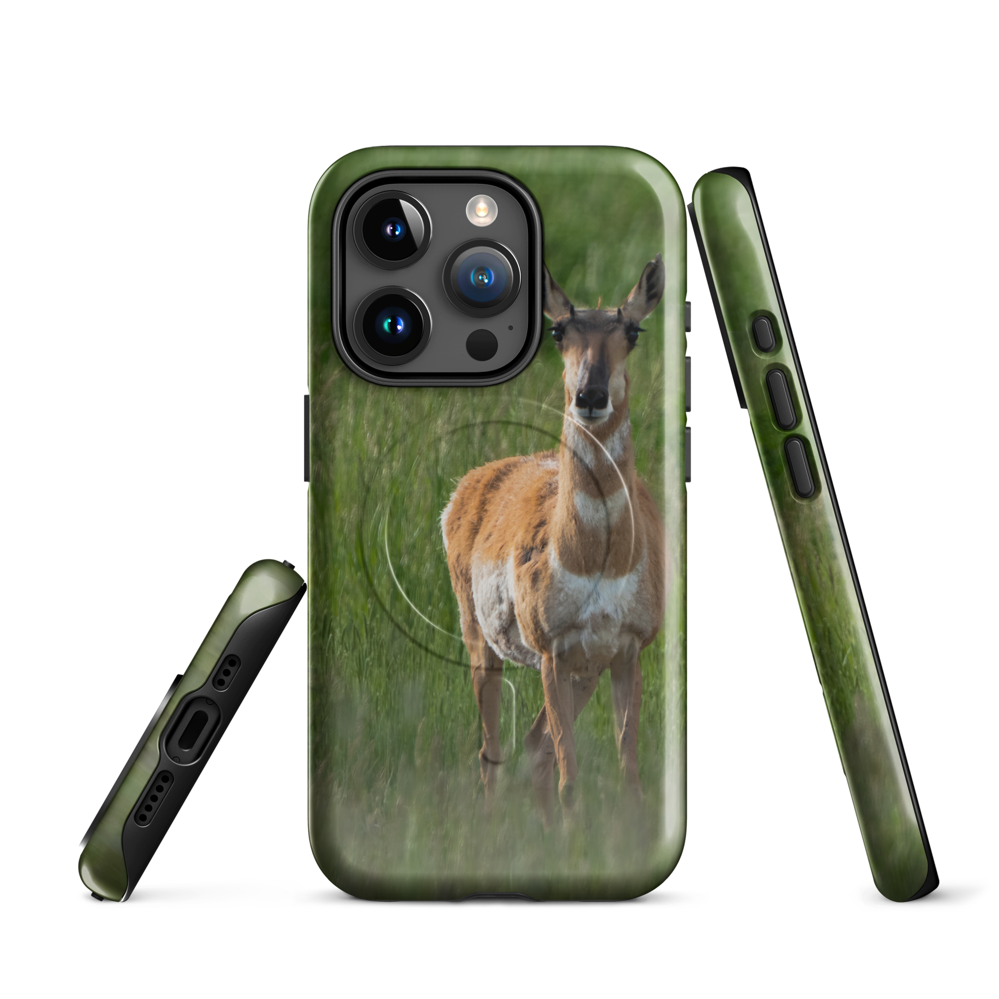 MagSafe cover and pronghorn — captured in open country silence