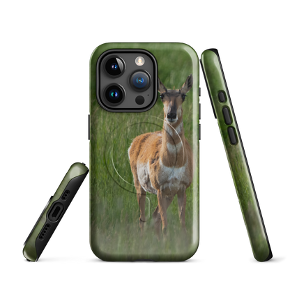 MagSafe cover and pronghorn — captured in open country silence