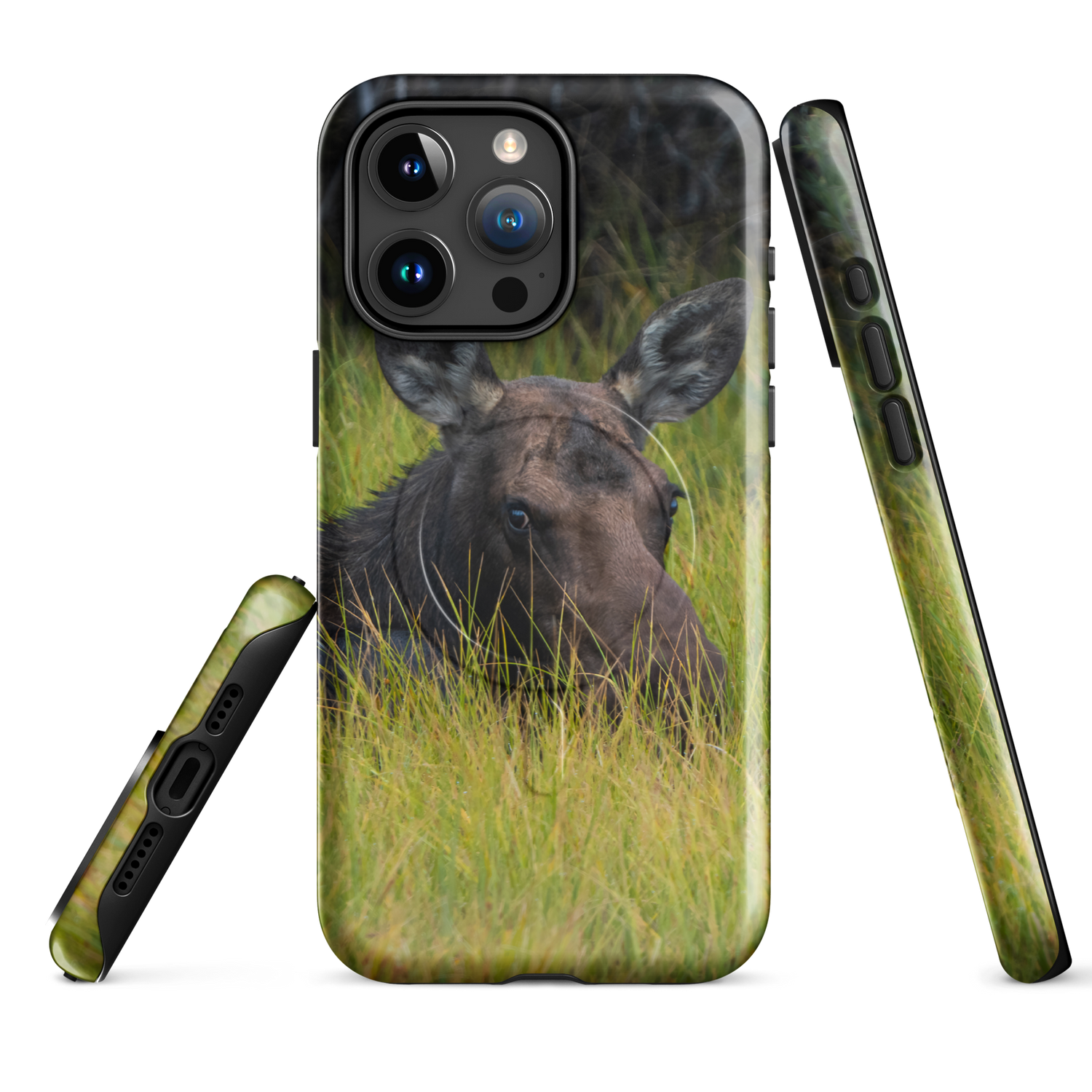 MagSafe® Cover — Moose in the First Light, Built for the Way You Move