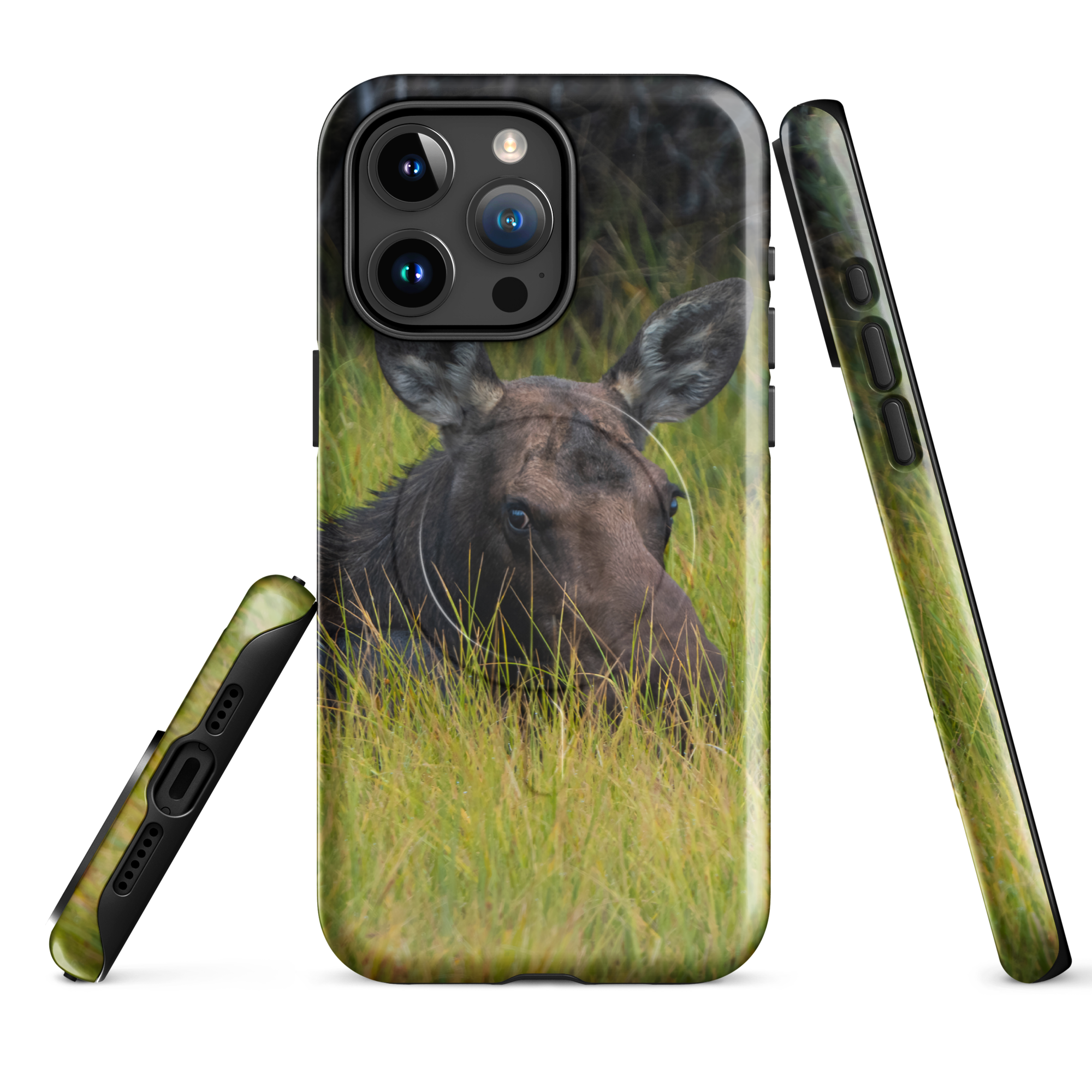 MagSafe® Cover — Moose in the First Light, Built for the Way You Move