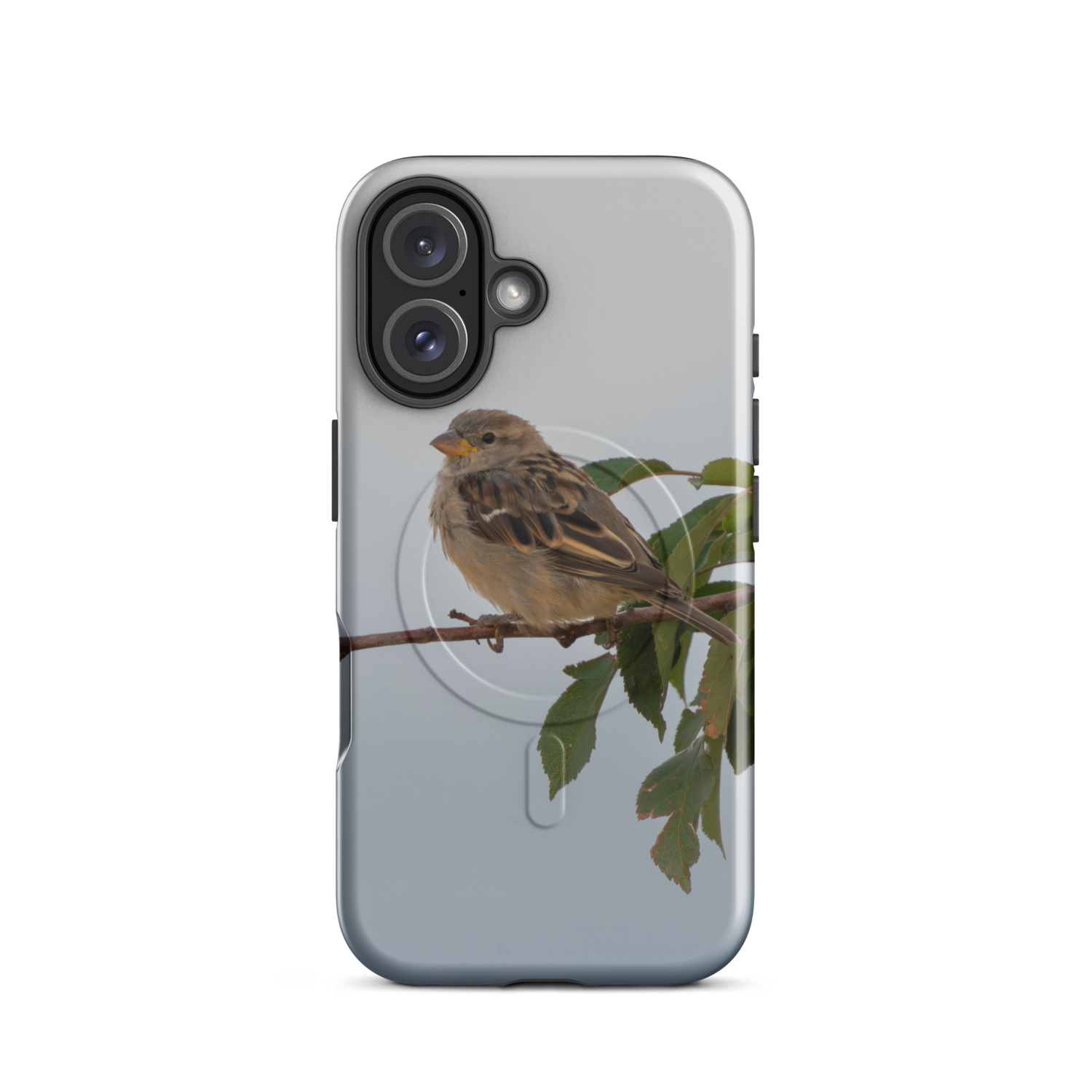 Common Sparrow MagSafe® tough case for iPhone®
