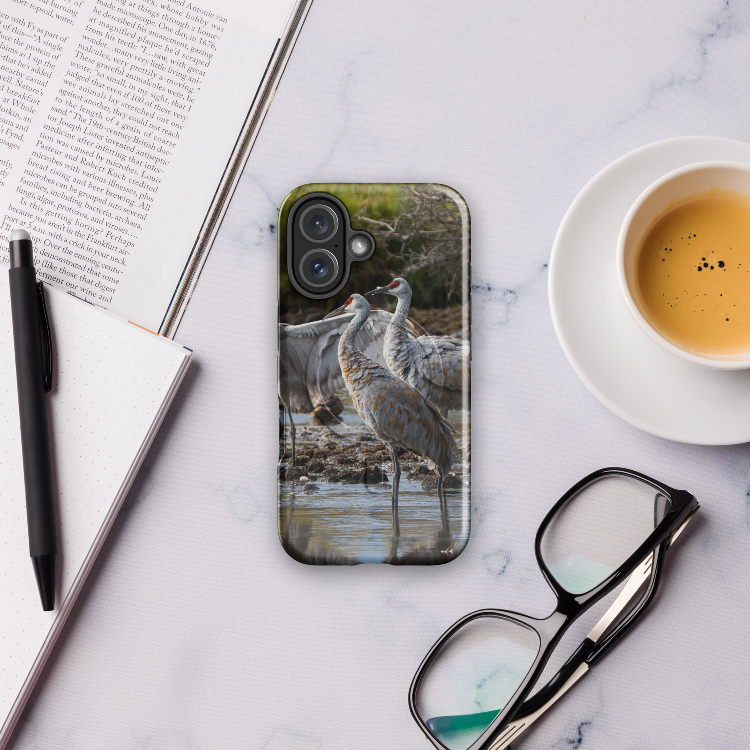 MagSafe iPhone® &amp; Sandhill Cranes Carry the Wild With You