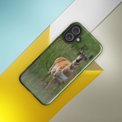 MagSafe cover and pronghorn — captured in open country silence