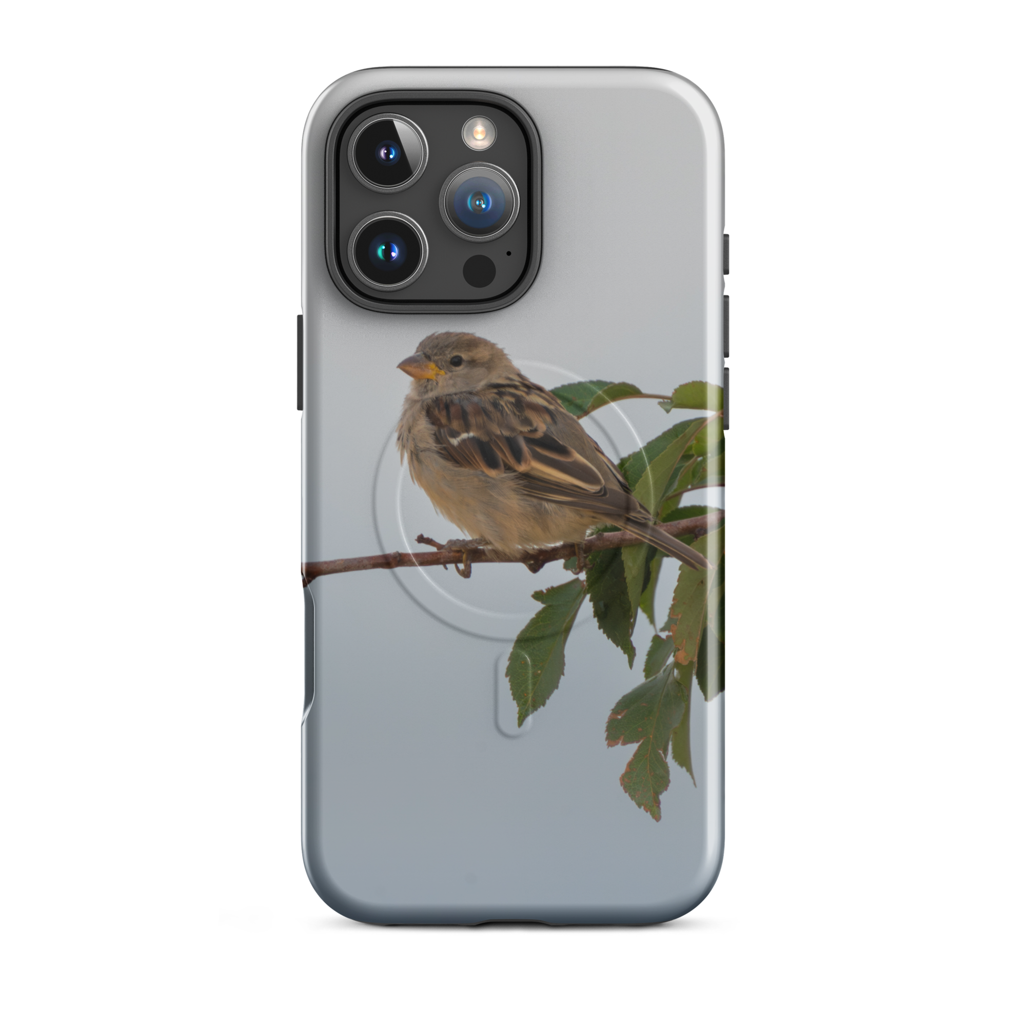 Common Sparrow MagSafe® tough case for iPhone®