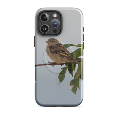 Common Sparrow MagSafe® tough case for iPhone®