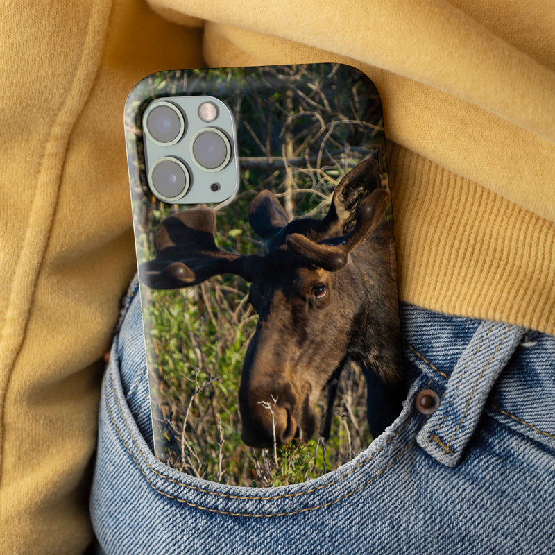 Moose  iPhone Case