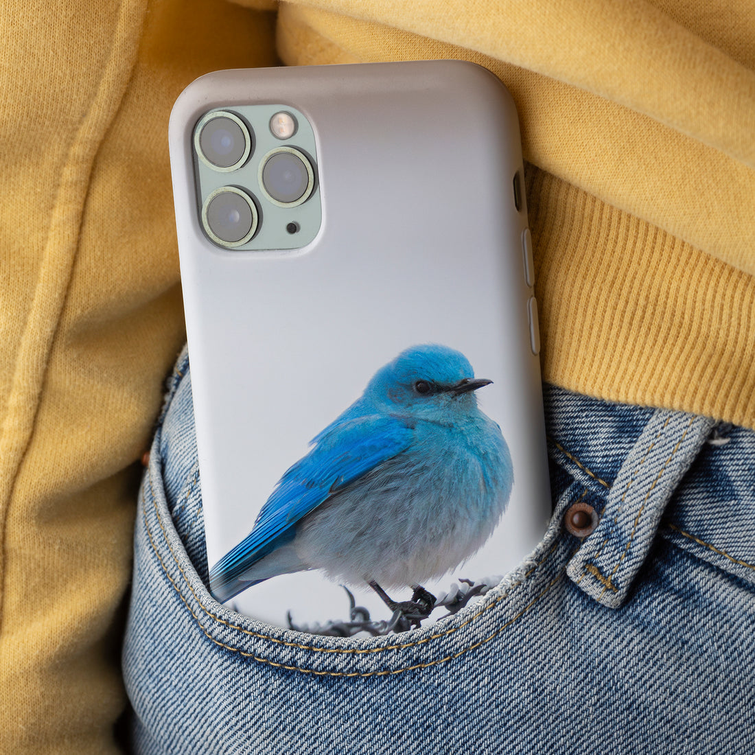 iPhone Cover and Mountain Bluebird Promise