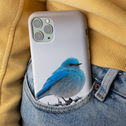 iPhone Cover and Mountain Bluebird Promise