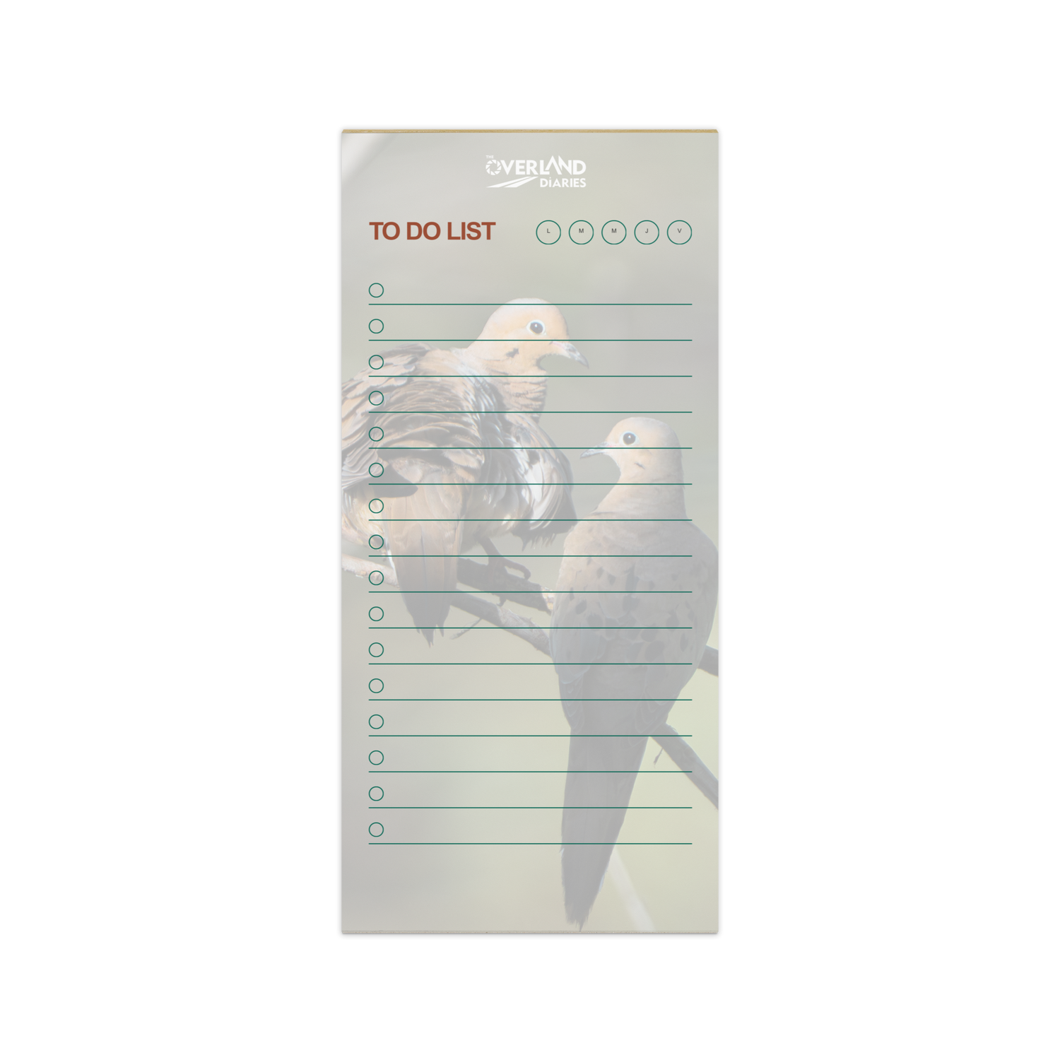Golden Hour Mourning Doves Notepad