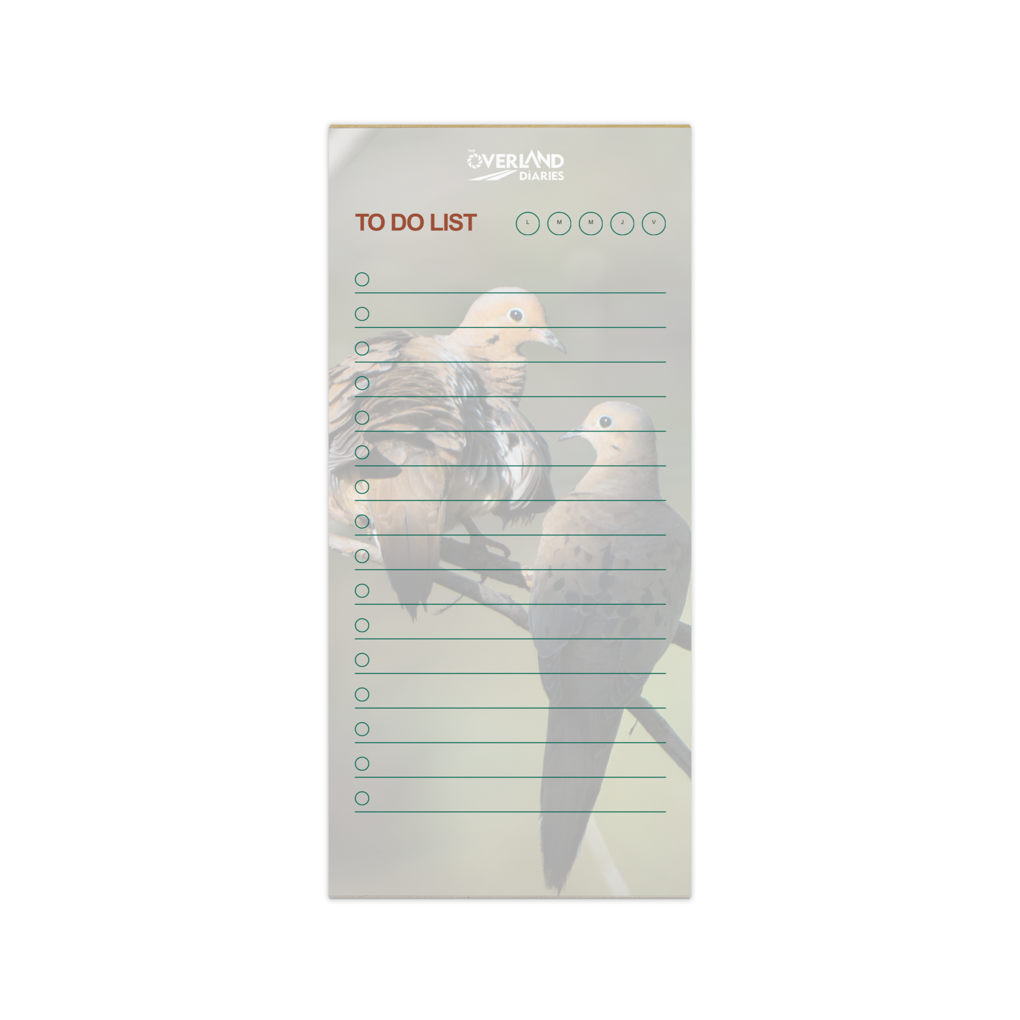 Golden Hour Mourning Doves Notepad