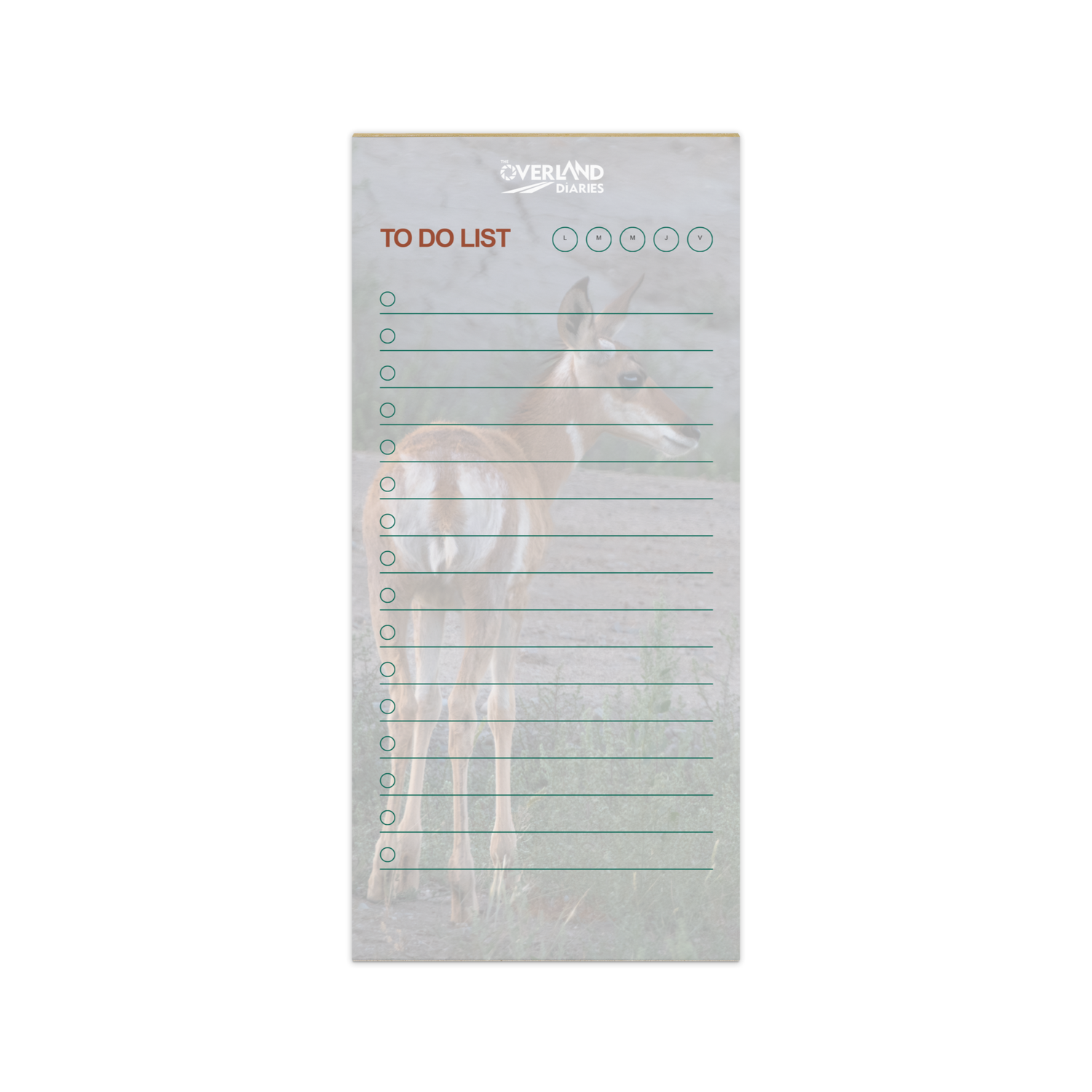 Pronghorn Notepad: Wild Wyoming in Your Hands