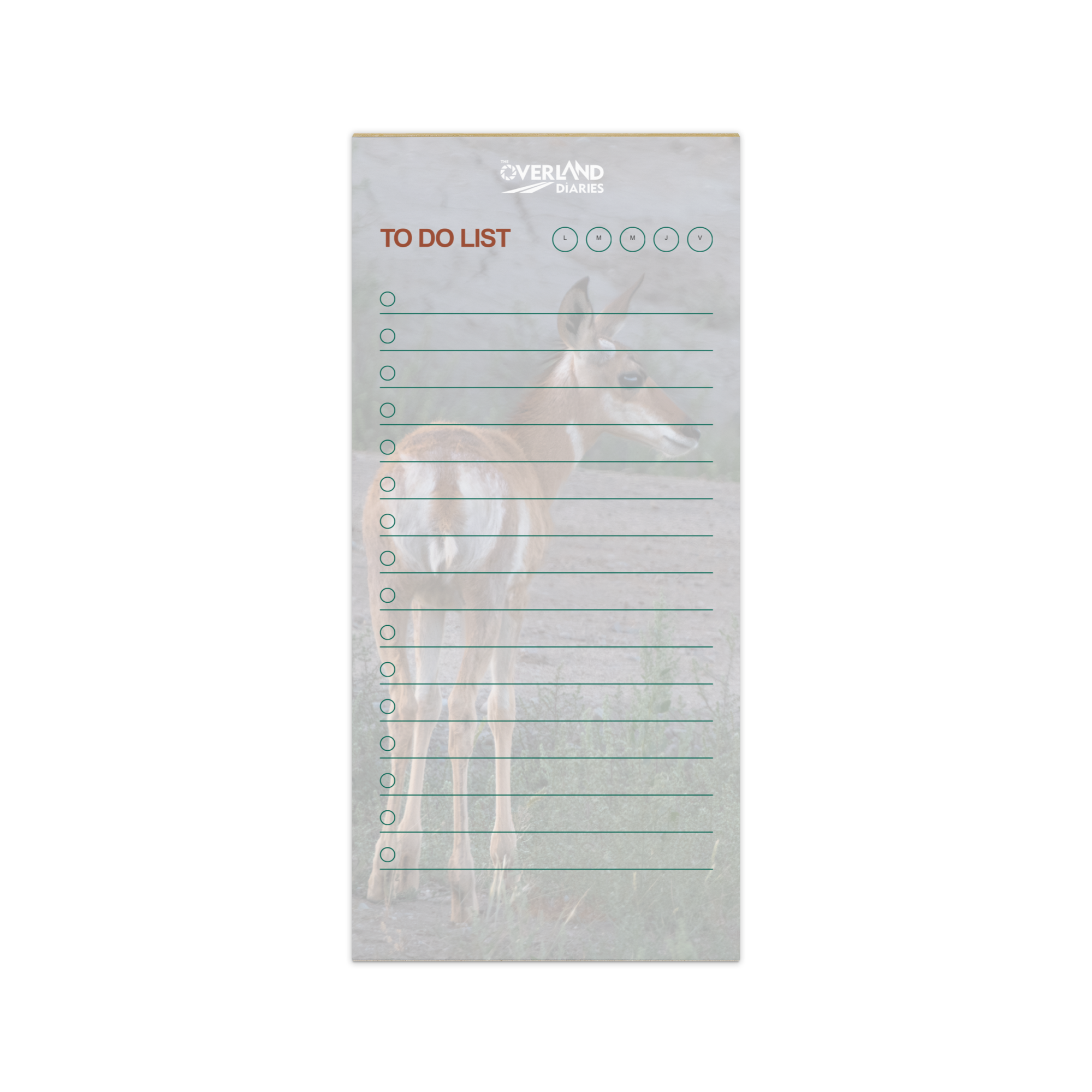 Pronghorn Notepad: Wild Wyoming in Your Hands