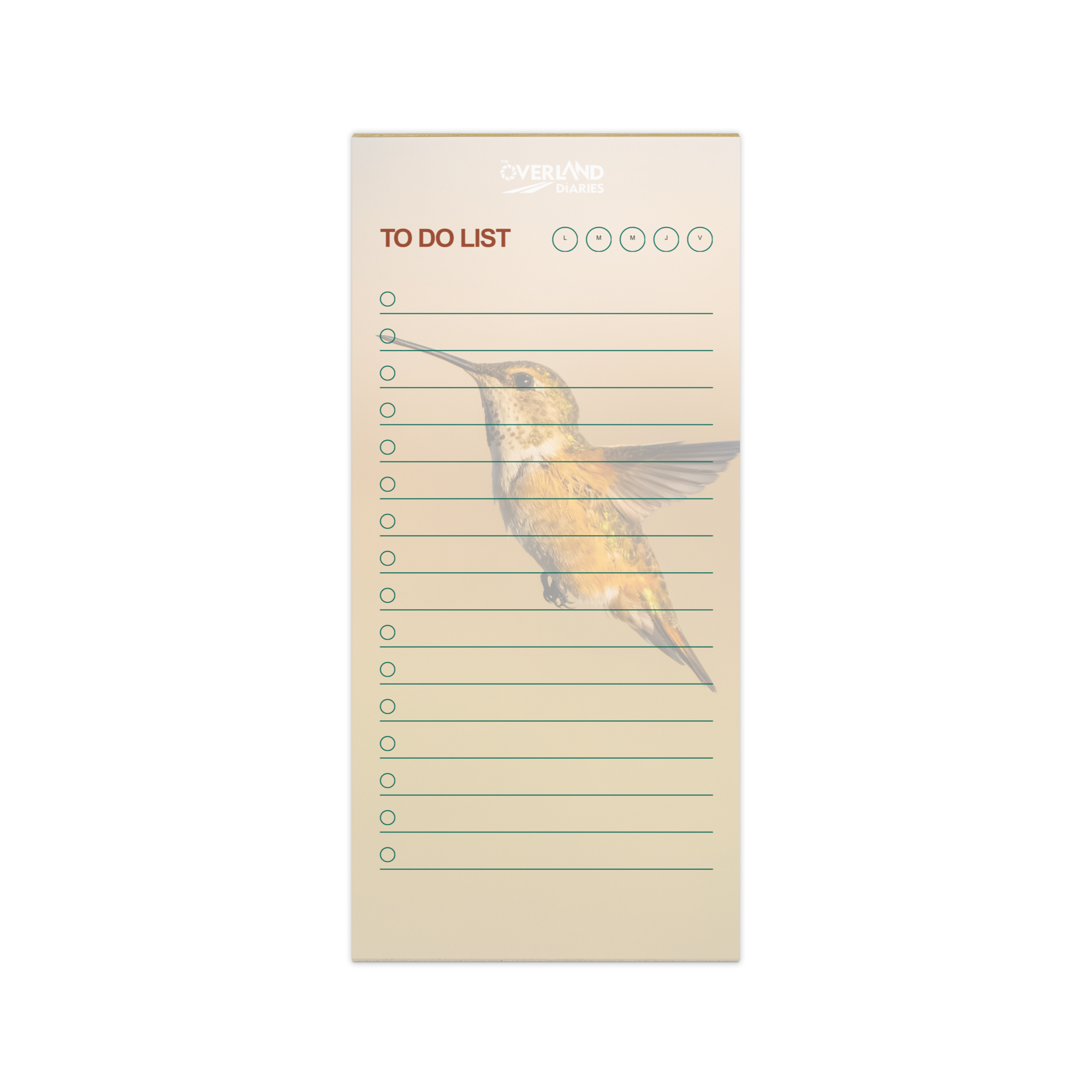 Hummingbird Notepad for Quiet Souls