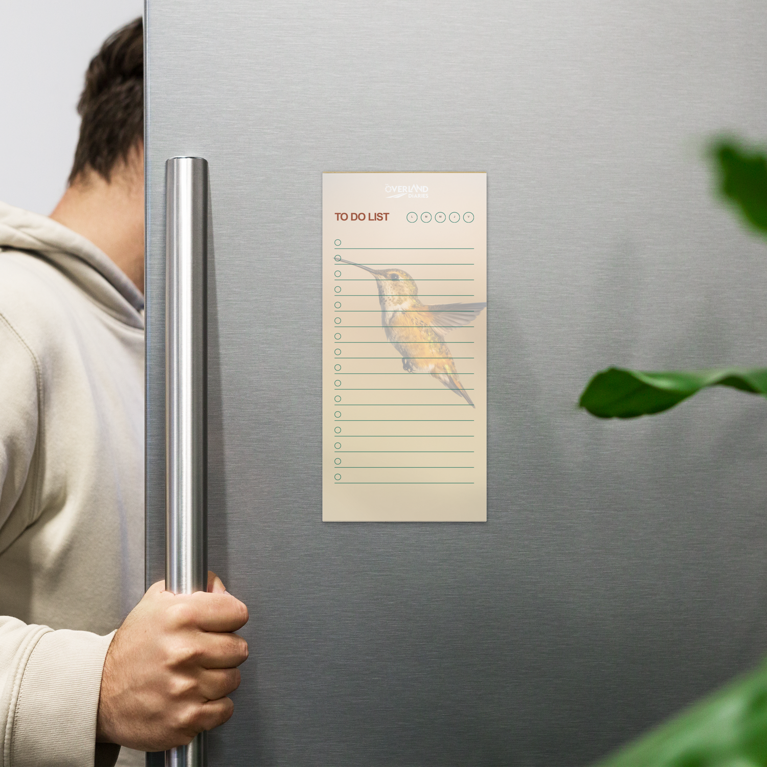 Hummingbird Notepad for Quiet Souls