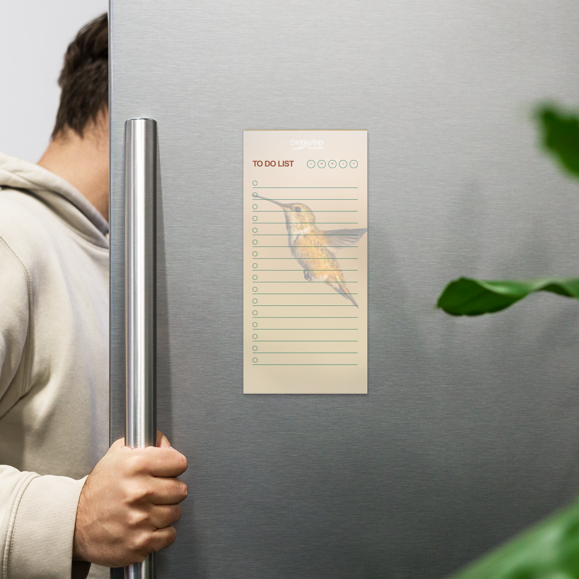 Hummingbird Notepad for Quiet Souls