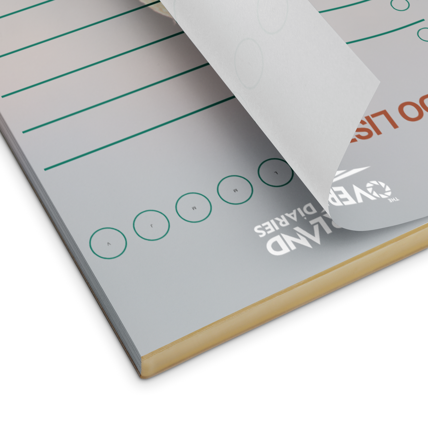 Scurrying Killdeer Notepad