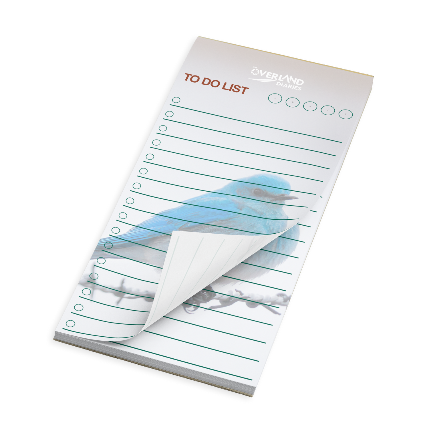 Mountain Bluebird Notepad · Wyoming Spring