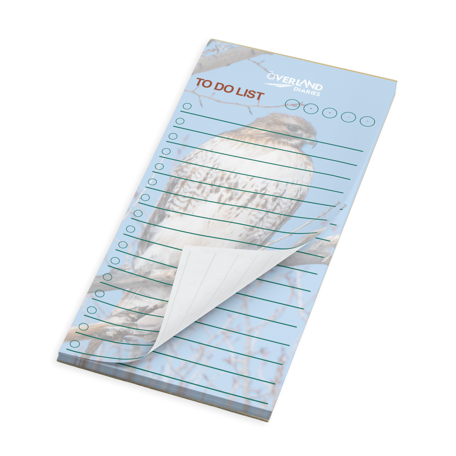 Red-Tail Hawk Notepad · Wyoming Wilderness