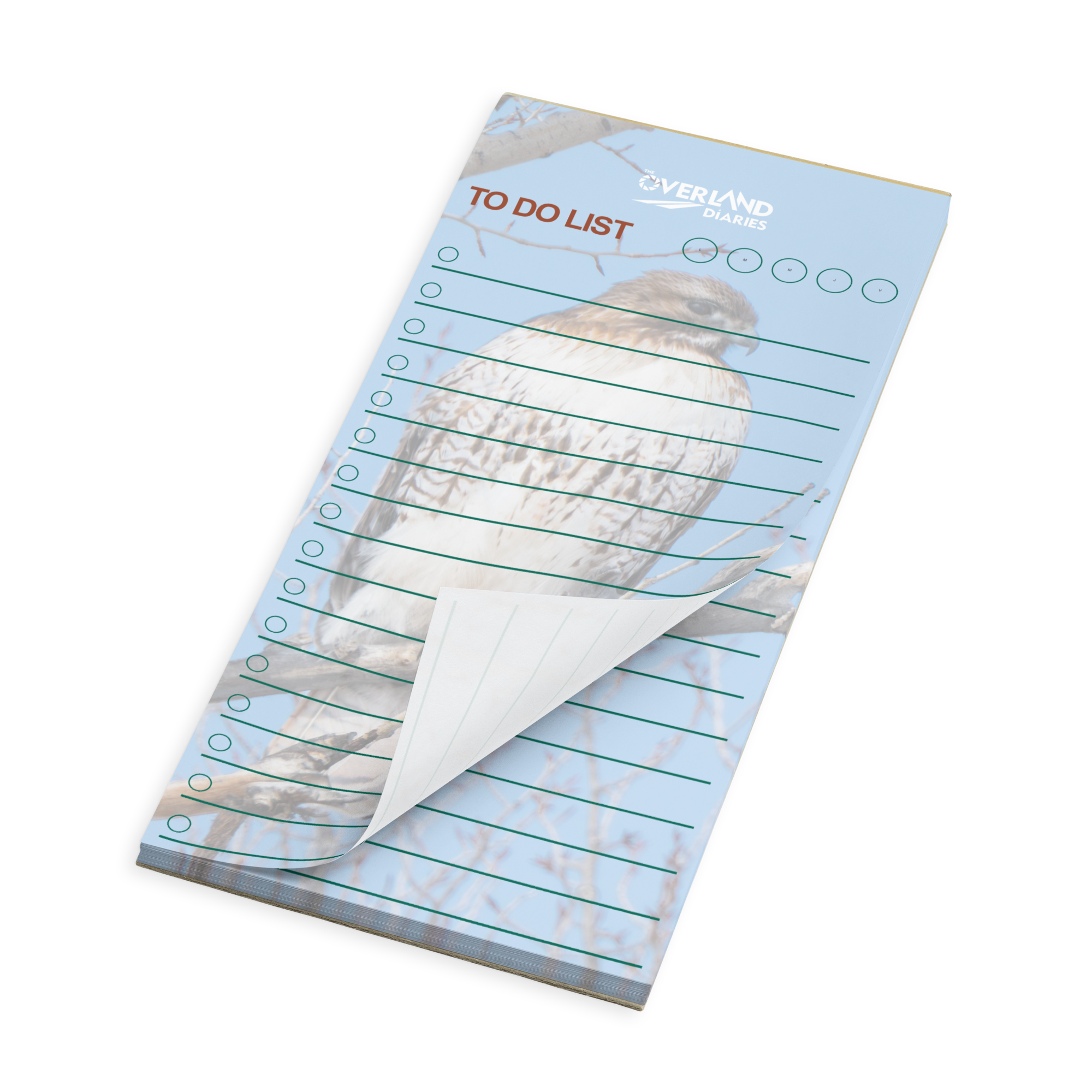 Red-Tail Hawk Notepad · Wyoming Wilderness