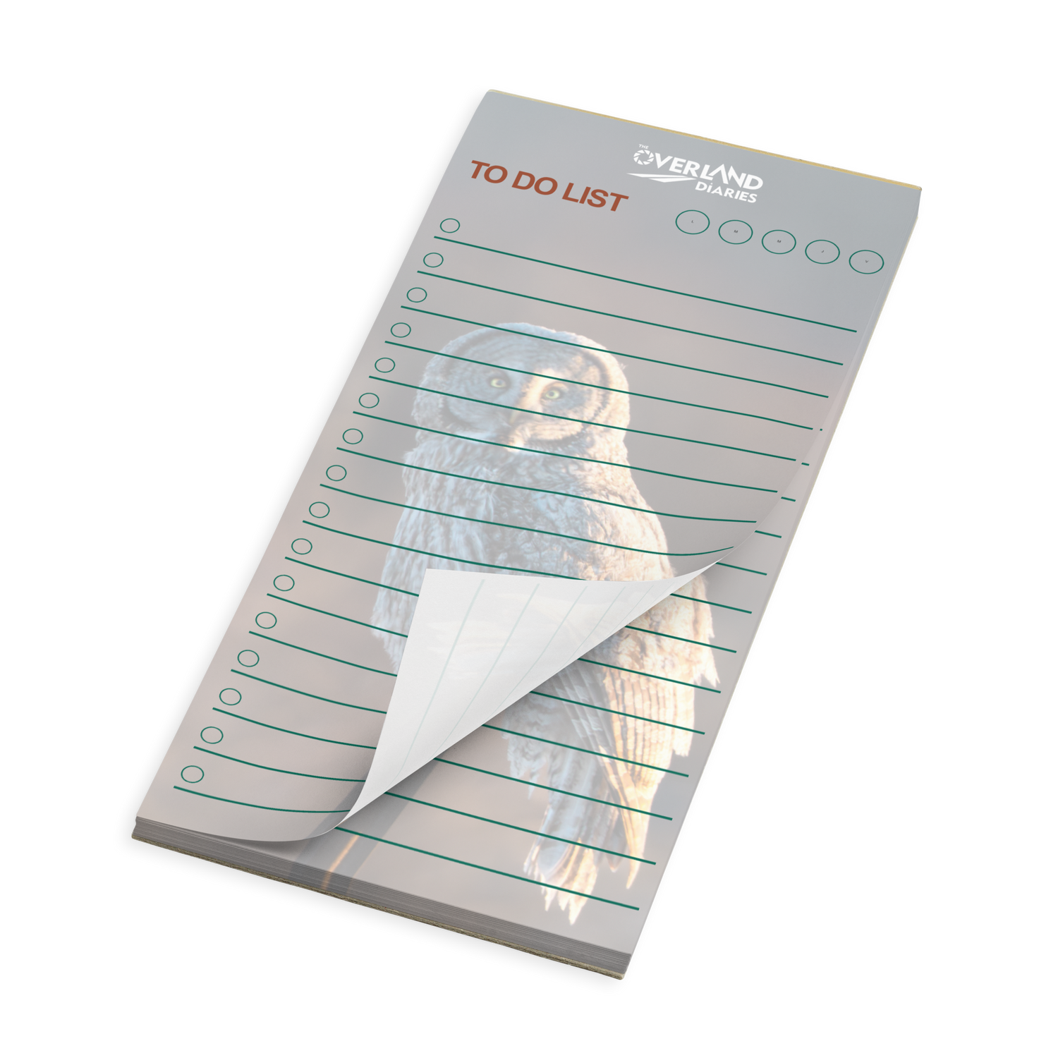 Owl at Dawn Notepad