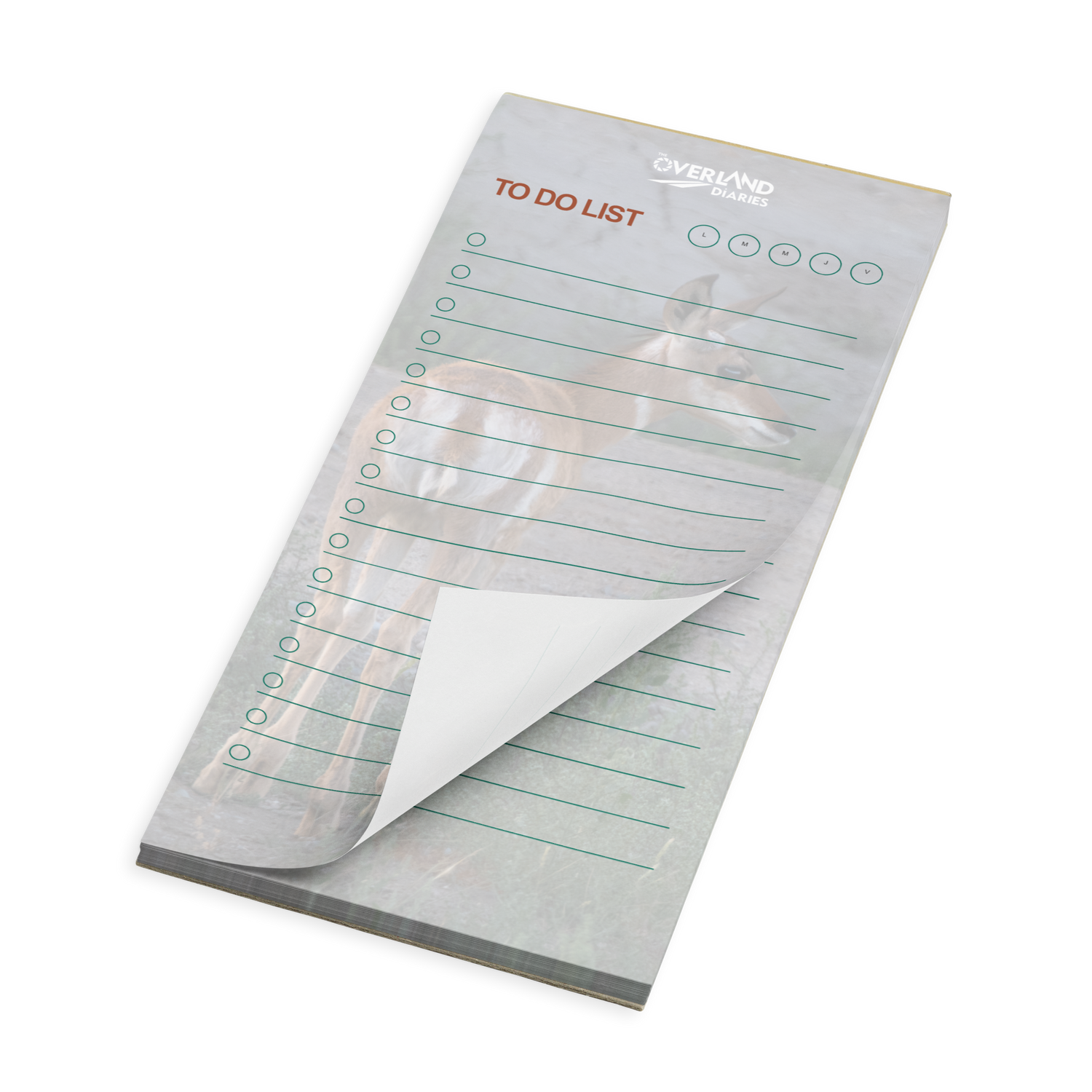 Pronghorn Notepad: Wild Wyoming in Your Hands