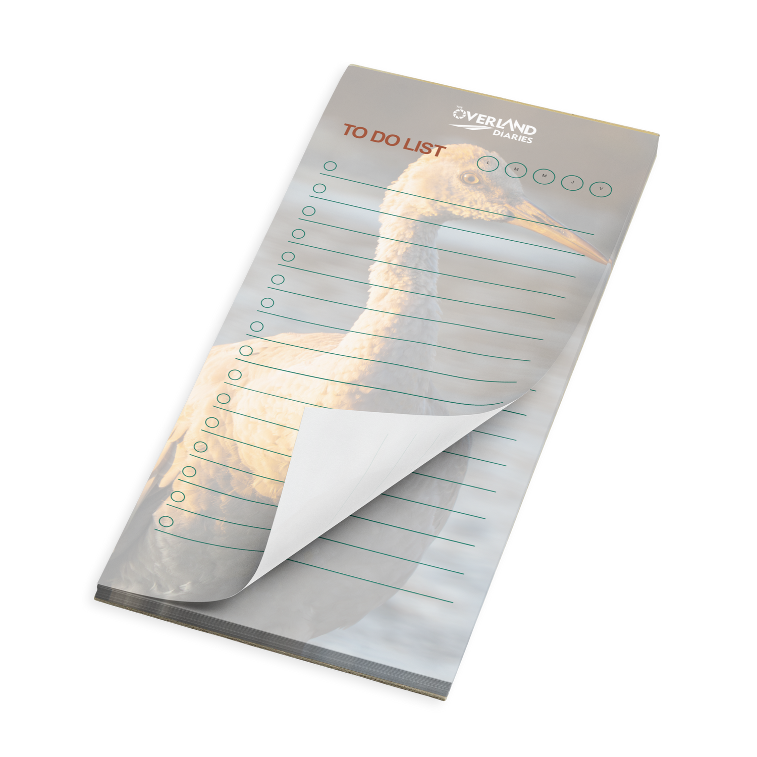 Sandhill Crane Notepad — The Wyoming Story Everyone Will Want to Hold