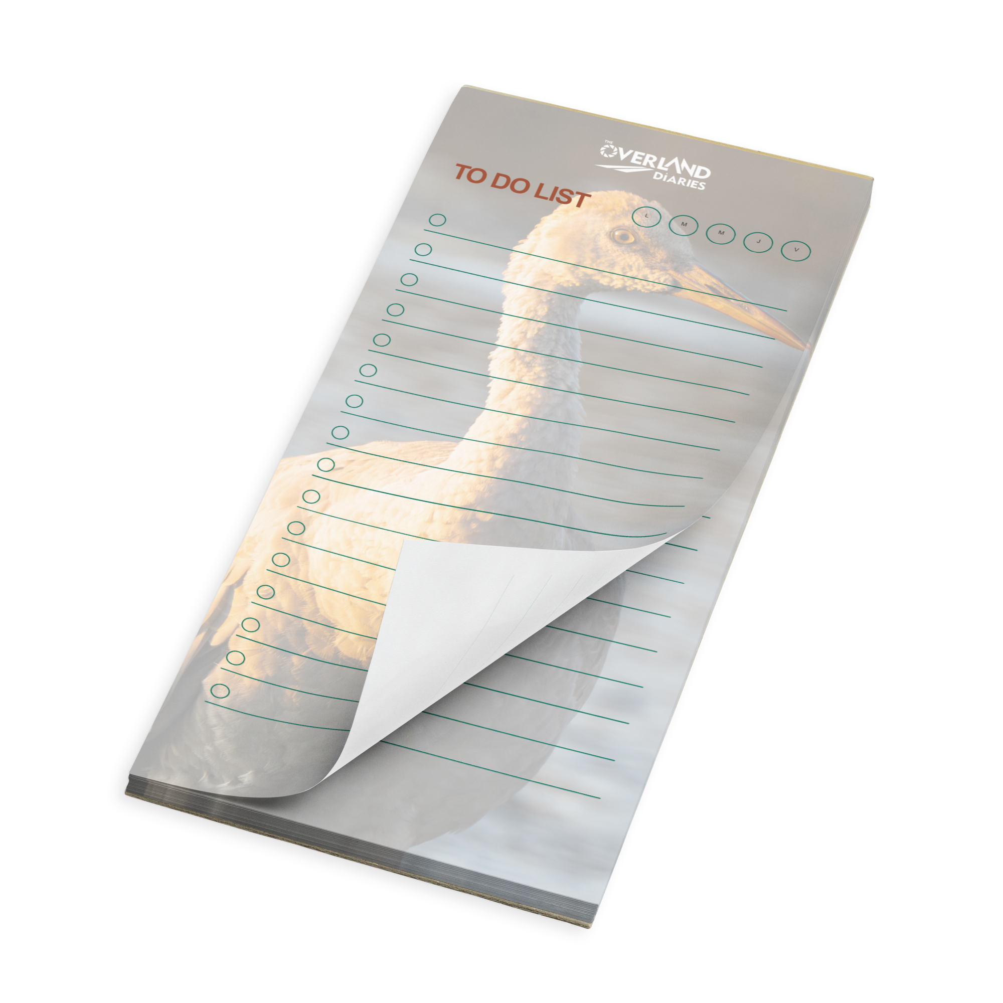 Sandhill Crane Notepad — The Wyoming Story Everyone Will Want to Hold