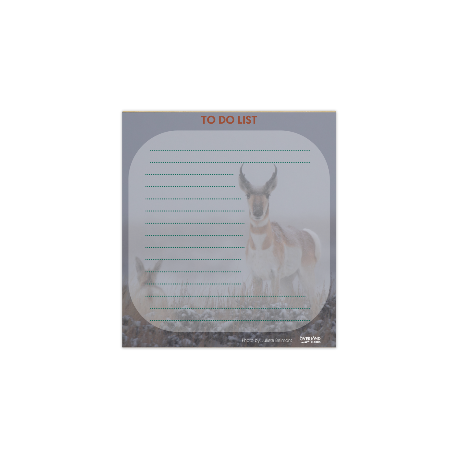 Pronghorn Notepad: Capture the Wild Beauty of Wyoming&