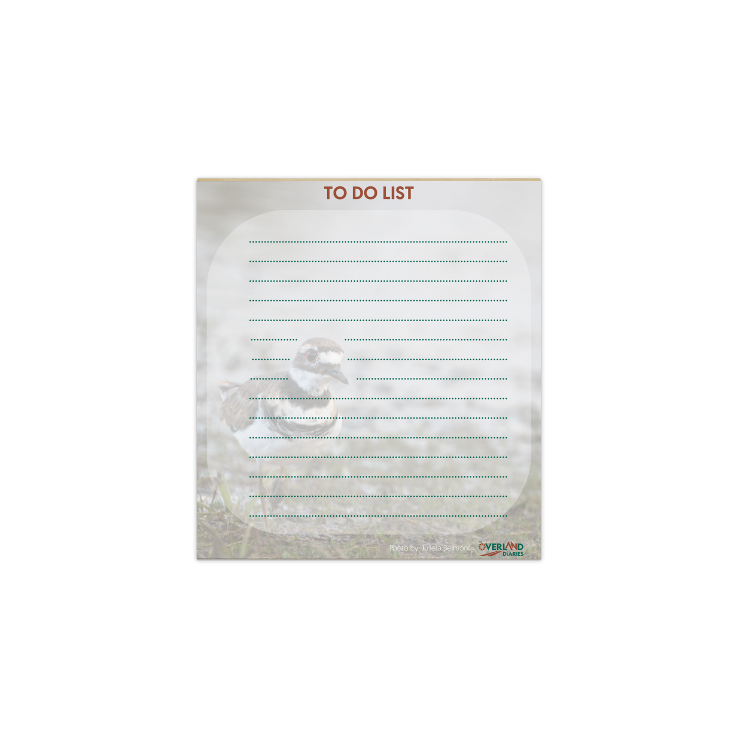 Killdeer Notepad