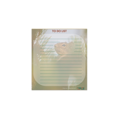 Squirrel Notepad