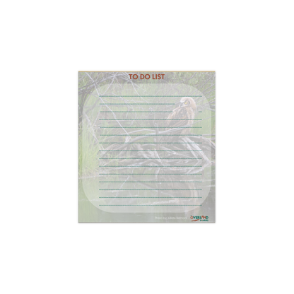 Owlet Notepad