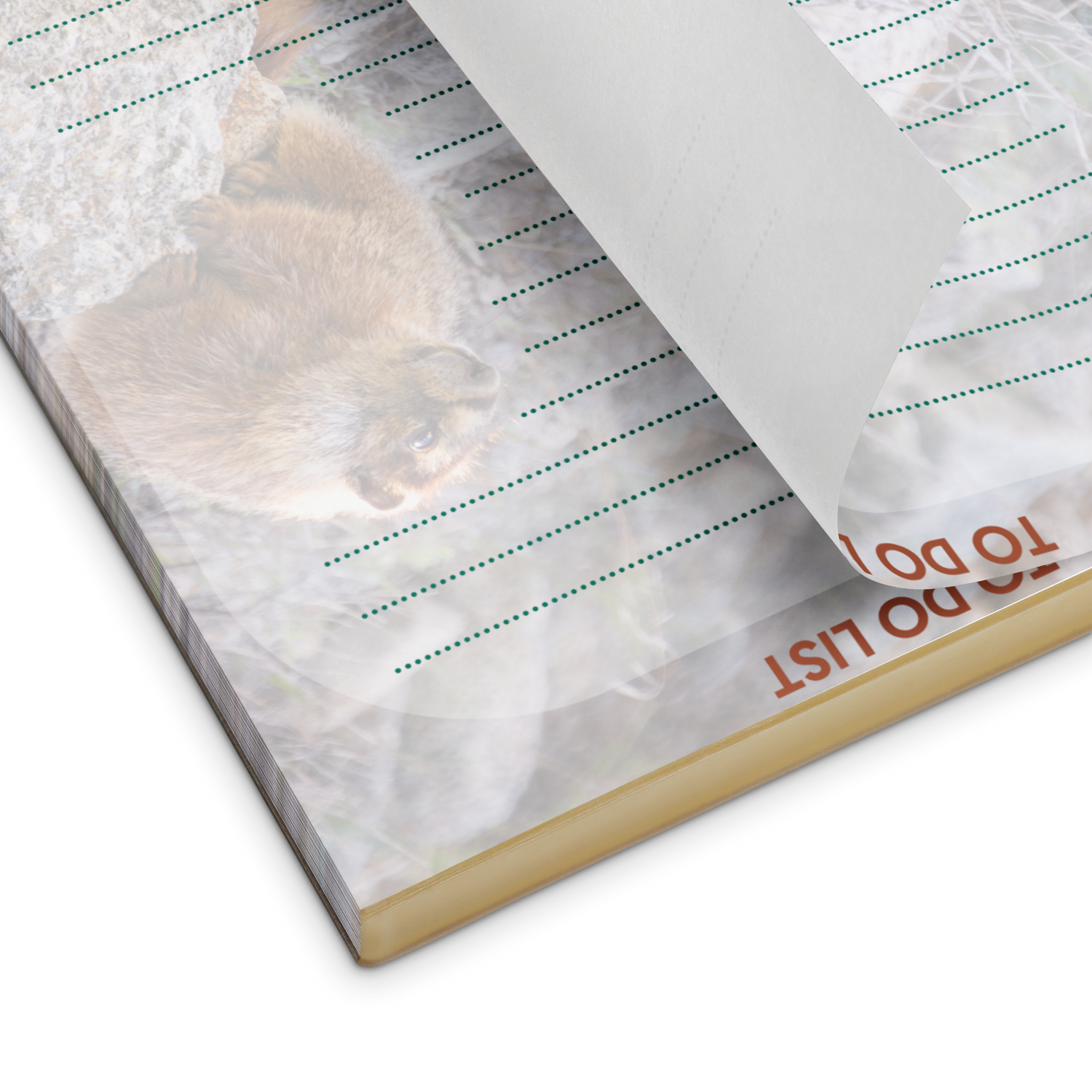 Marmot Notepad