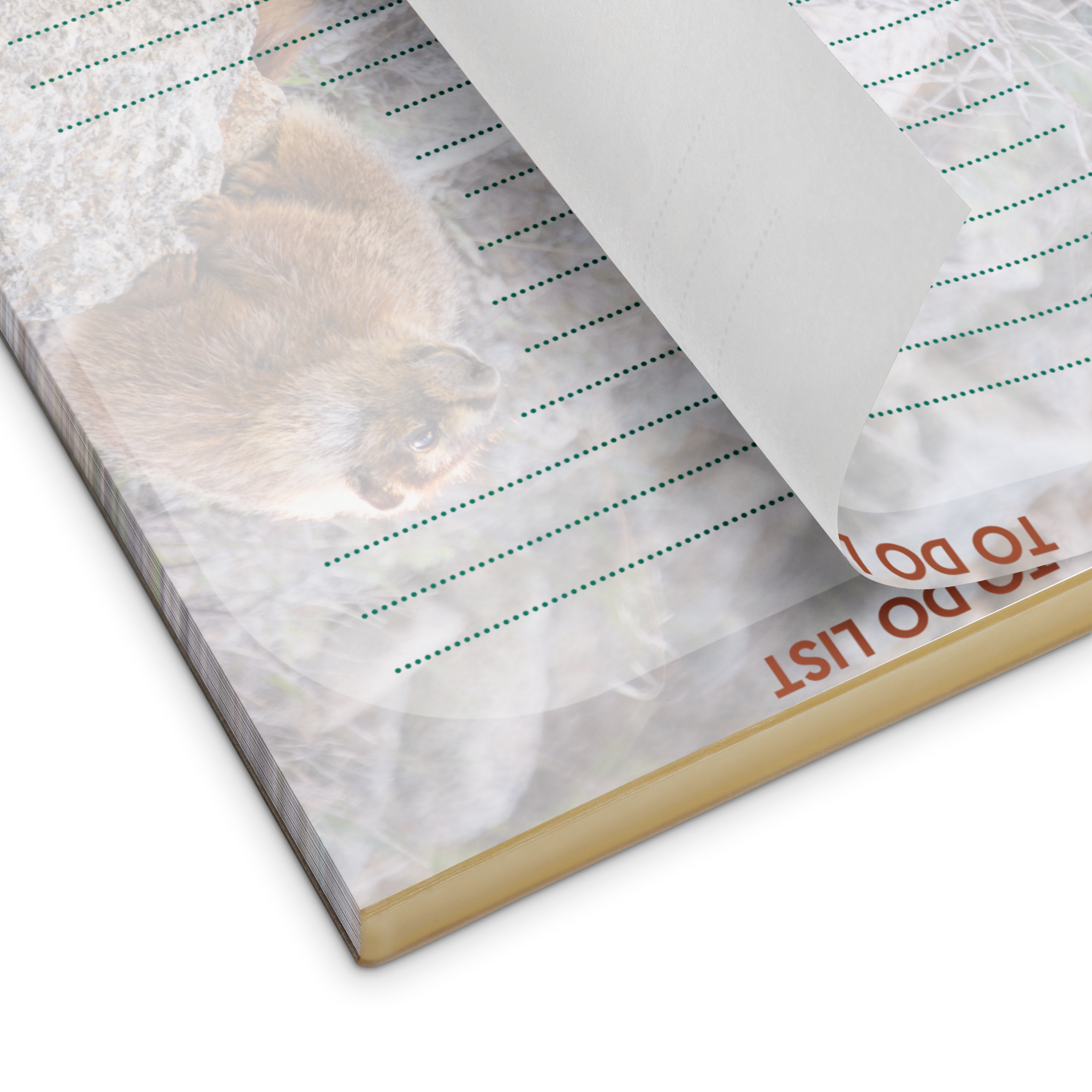 Marmot Notepad